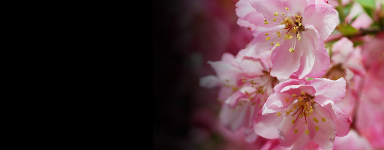 四町目店 🅿のご案内