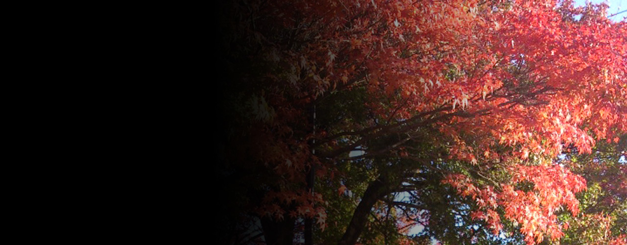 四町目店 🅿のご案内