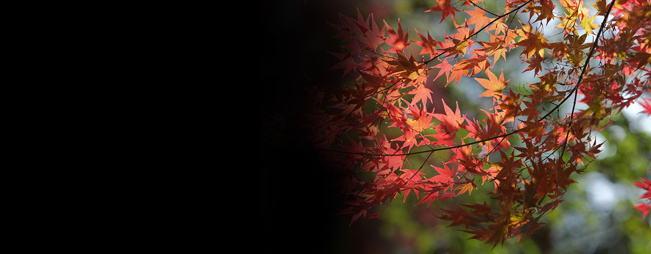 四町目店 🅿のご案内