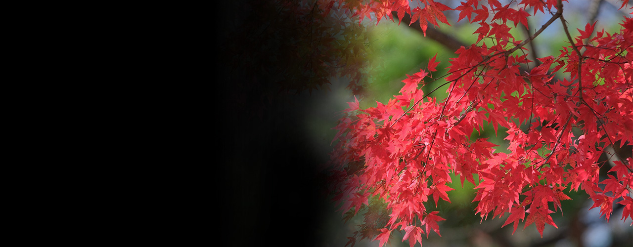 四町目店 🅿のご案内